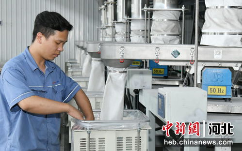 河北任丘 科技賦能企業提檔升級，新材料技術研發引領產業新變革